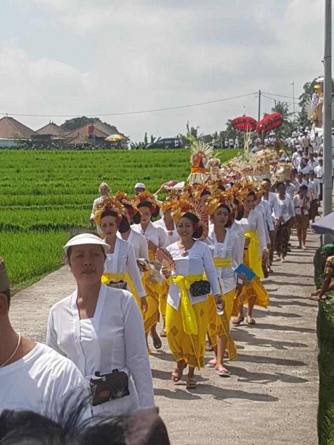 Yogi Homestay Canggu Екстериор снимка
